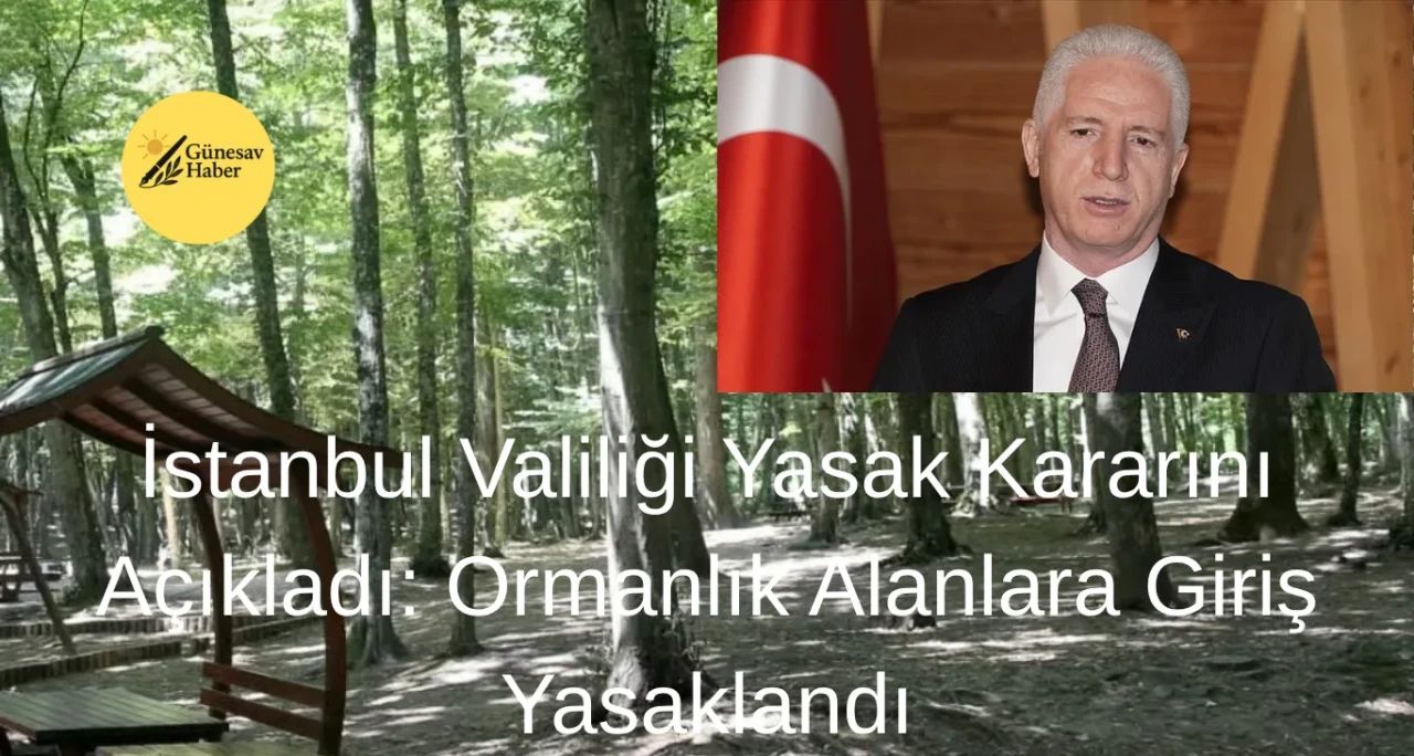 İstanbul'da Ormanlık Bölgelere Giriş Yasaklandı: Valilikten Önemli Açıklama Geliyor!