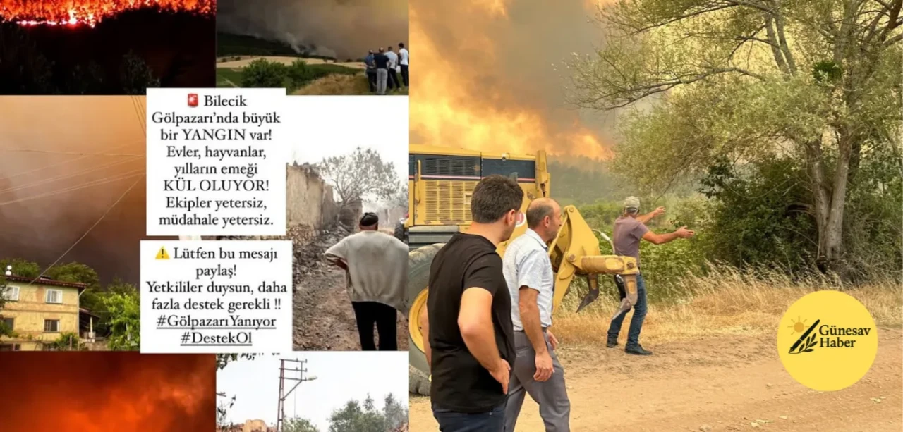**Bilecik'te Meydana Gelen Tehlikeli Yangın Paniğe Neden Oldu**