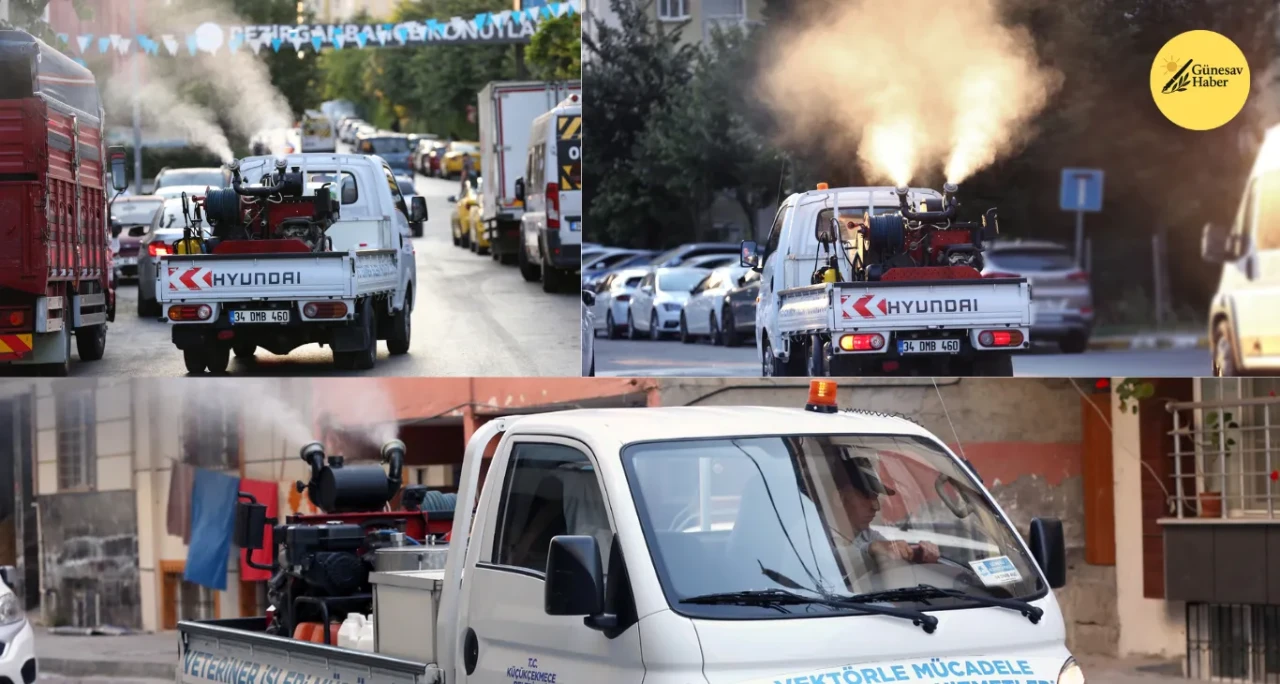 Küçükçekmece'de Sivrisinek Mücadelesi: Rahat Bir Yaz İçin Çalışmalar Sürüyor!