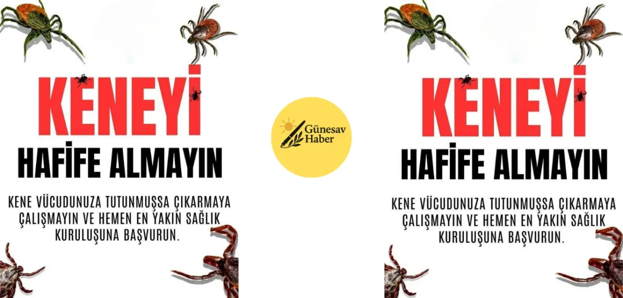 Kenelerdeki Tehlike: Sağlığınıza Dikkat Edin!