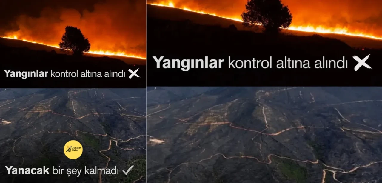 İzmir'de Yangınlar Kontrol Altına Alınamıyor: "Her Şey Kül Oldu!"