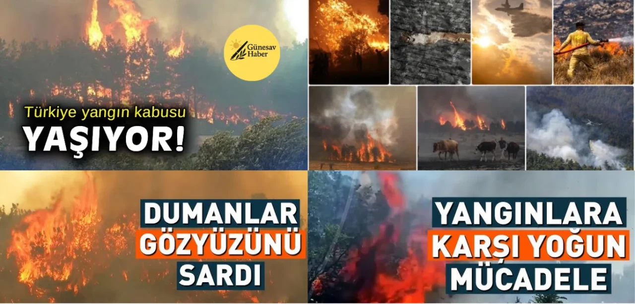 Günesav Haber: Gerçekleri Basit ve Anlaşılır Bir Şekilde Öğrenin!