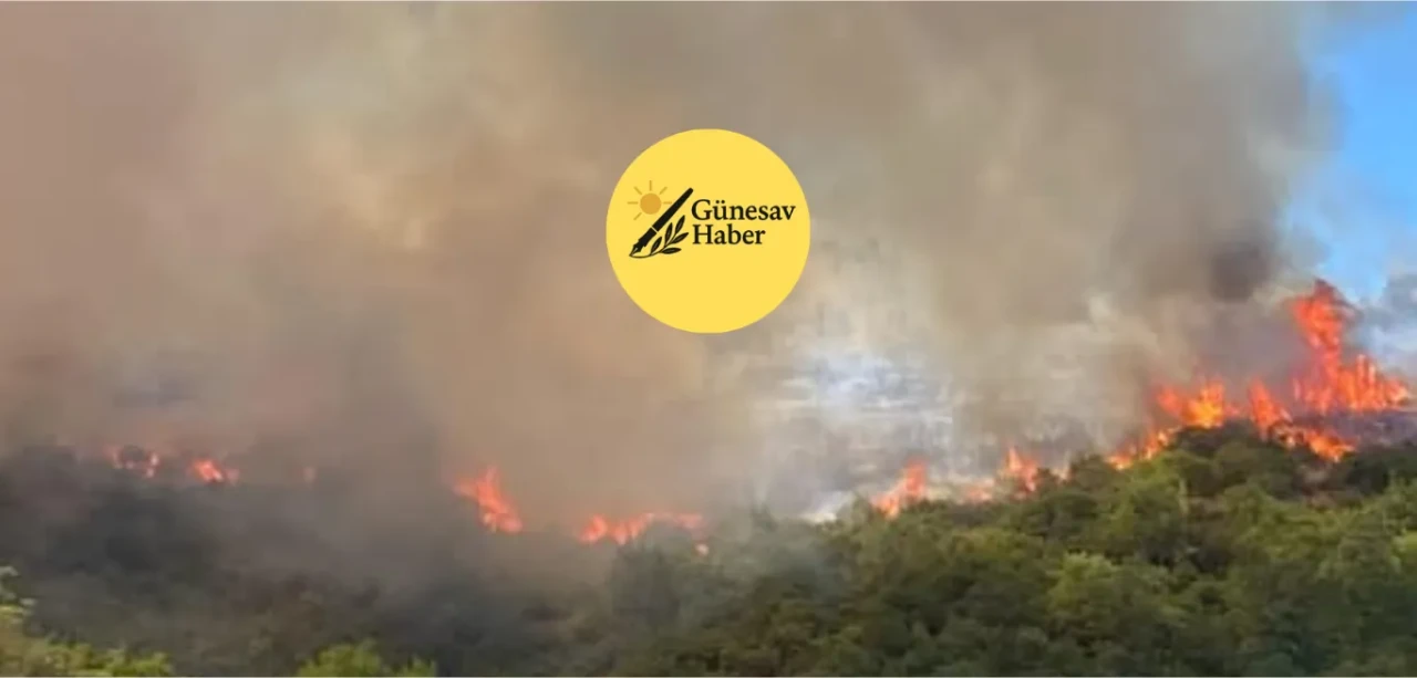 Helikopter, Gerede'den Havalandı: Yürekleri Yakan Yangın Alarmı!