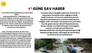 Sultangazi’de Yaz Mevsimi İçin Sivrisinek ile Mücadele Çalışmaları Hız Kesmeden Devam Ediyor!