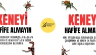 Kenelerdeki Tehlike: Sağlığınıza Dikkat Edin!