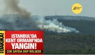 🔥 Sultangazi Kent Ormanı’nda Yangın: Ekipler Müdahale Ediyor 🔥