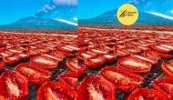 **Sicilya'nın Geleneksel Domates İşleme Geleneği: Doğanın Sofralara Taşıdığı Eşsiz Bir Tat Yolculuğu**