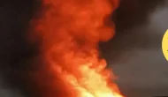 🌲 Almanya'da Orman Yangınları Kriz Noksanına Ulaştı: Acil Durum Duyurusu!