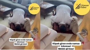 🟢 Sosyal Medyada Gündem Olan Tartışma: “Köpek Giren Evde Namaz Kılınır mı?”
