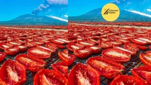 **Sicilyalıların Geleneksel Domates Hazırlama Yöntemi: Doğadan Sofraya Zengin Bir Lezzet Deneyimi**