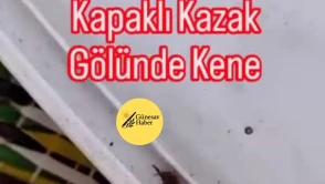 Kazak Gölü Mesire Alanında Piknik Yapan Aile, Kene Alarmı ile Panik Yaşadı!