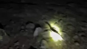 Kekliklerin Gece Operasyonu: Doğayı Koruma Amaçlı Kenelerle Mücadele İçin Yenilikçi Çözüm!