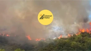 Helikopter, Gerede'den Havalandı: Yürekleri Yakan Yangın Alarmı!