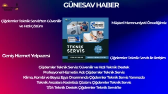 Profesyonel Hizmetin Adı: Çiğdemler Teknik Servis