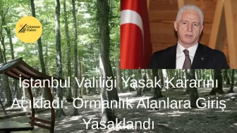 İstanbul'da Ormanlık Bölgelere Giriş Yasaklandı: Valilikten Önemli Açıklama Geliyor!