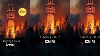 **Yangınlarla Mücadelede Stratejiler: Sebepler, Etkiler ve Toplumsal Dayanışmanın Önemi**