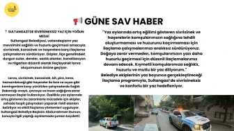 Sultangazi’de Yaz Mevsimi İçin Sivrisinek ile Mücadele Çalışmaları Hız Kesmeden Devam Ediyor!