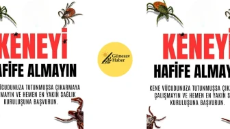 Kenelerdeki Tehlike: Sağlığınıza Dikkat Edin!