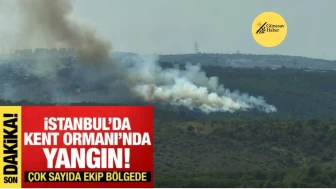 🔥 Sultangazi Kent Ormanı’nda Yangın: Ekipler Müdahale Ediyor 🔥