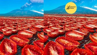 **Sicilyalıların Geleneksel Domates Hazırlama Yöntemi: Doğadan Sofraya Zengin Bir Lezzet Deneyimi**