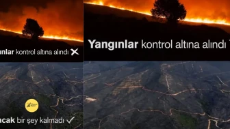 İzmir'de Yangınlar Kontrol Altına Alınamıyor: "Her Şey Kül Oldu!"
