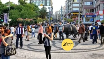 Üsküdar, Sultanbeyli, Kadıköy, Ümraniye ve Beykoz'a 'Cuma Günü' için Kritik Sıcaklık Uyarısı!