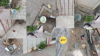 Kartal’da "Bir Kap Su" Kampanyası Başlatıldı: Mahalle Muhtarlarından Hayvanlar İçin Destek Bekleniyor!