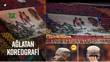 🦁 Aslanın Avrupa Gecesi: İstanbul’dan Kıtaya Yazılan Hikâye