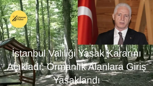 İstanbul'da Ormanlık Bölgelere Giriş Yasaklandı: Valilikten Önemli Açıklama Geliyor!
