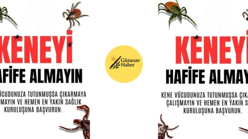 Kenelerdeki Tehlike: Sağlığınıza Dikkat Edin!