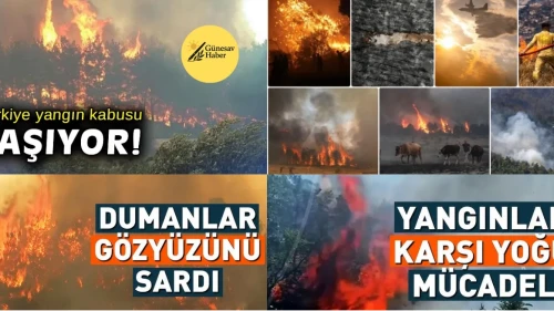 Günesav Haber: Gerçekleri Basit ve Anlaşılır Bir Şekilde Öğrenin!