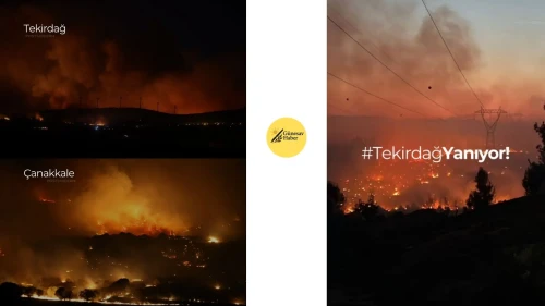 **Tekirdağ'da Yangın Alarmı: Şarköy'de Üç Mahalle Tahliye Edildi, Ekipler Savaş Halinde**
