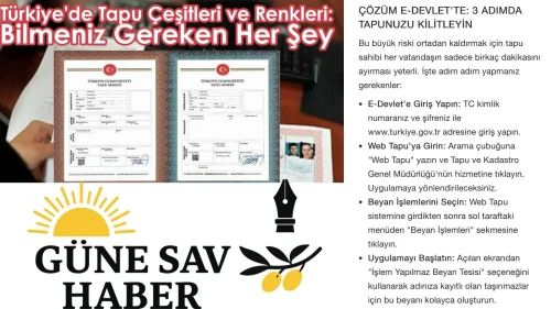 🔐 Tapunuza Göz Dikenlere Dikkat! E-Devlet'ten Hemen Bu Ayarı Yapın!