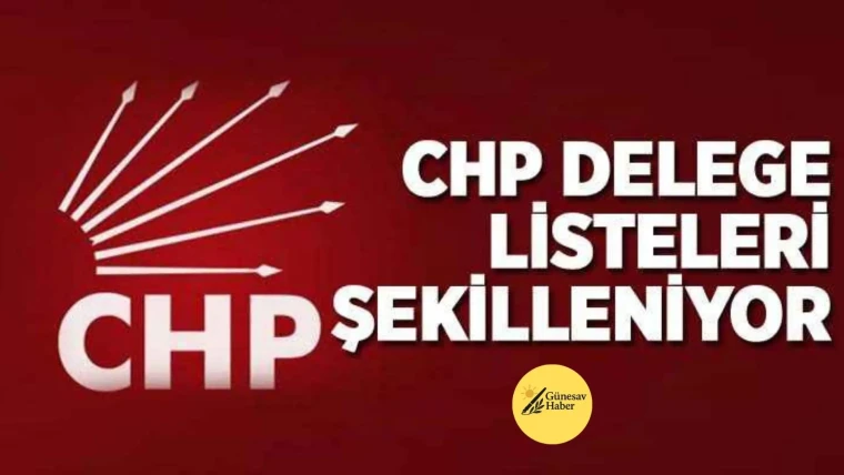 Demokrasinin Mayası: Çarşaf Liste