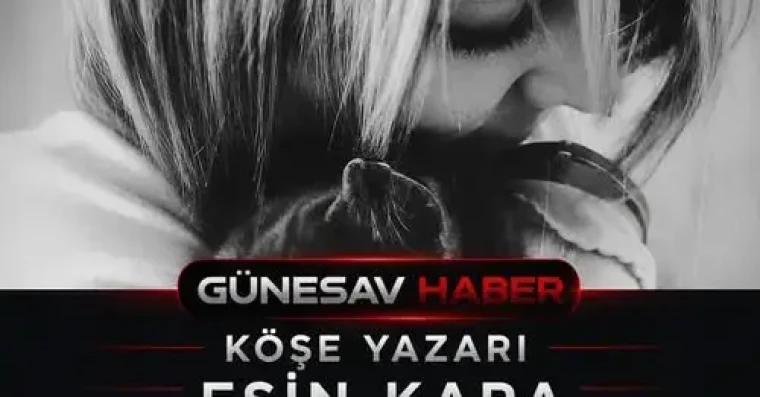 Hayatın Görünmez Mürekkebi: Alın Yazısı
