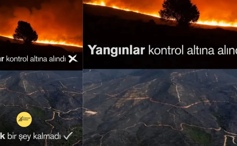 İzmir'de Yangınlar Kontrol Altına Alınamıyor: "Her Şey Kül Oldu!"